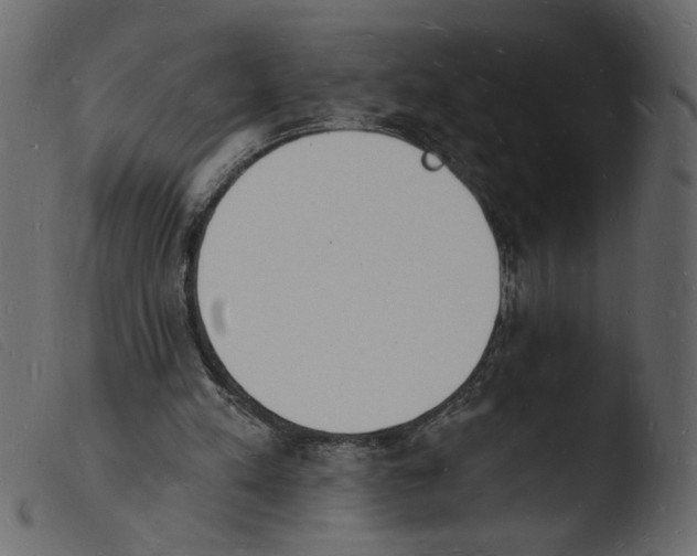 X0000103970197200810101316