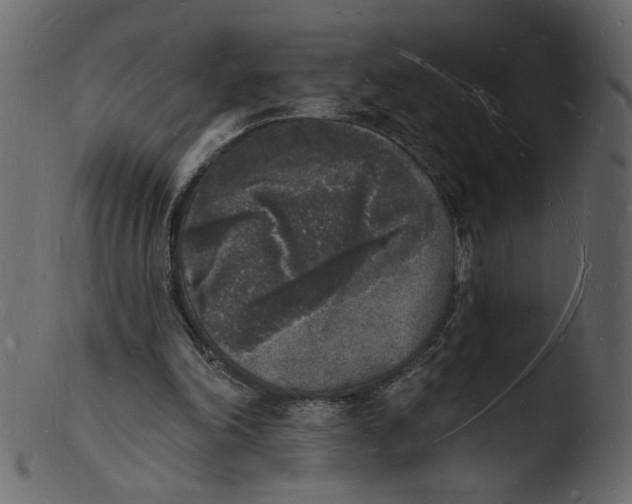 X0000103970198200810101316