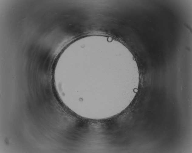 X0000103970199200810101316