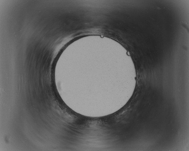 X0000103970200200810101316