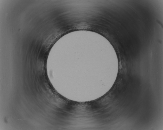 X0000103970201200810101316