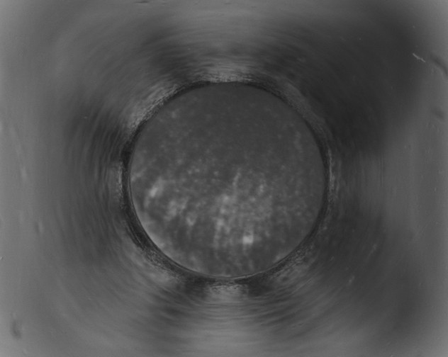 X0000103970202200810101316