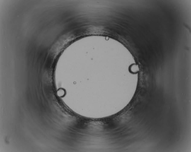 X0000103970203200810101316