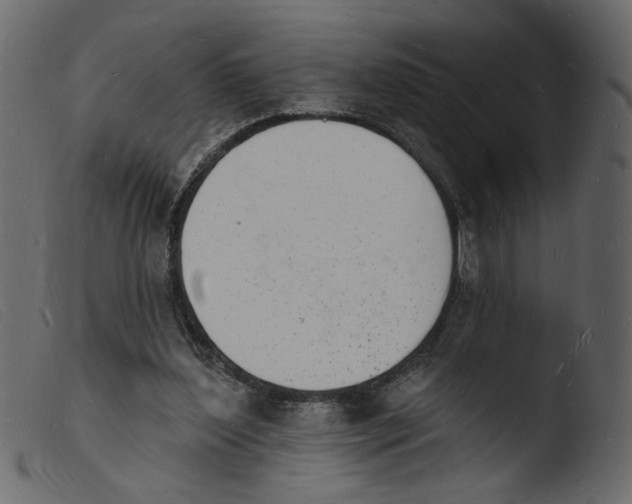 X0000103970204200810101316