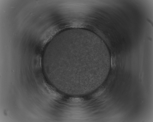 X0000103970205200810101316