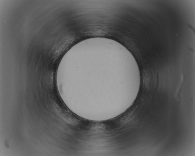 X0000103970206200810101316