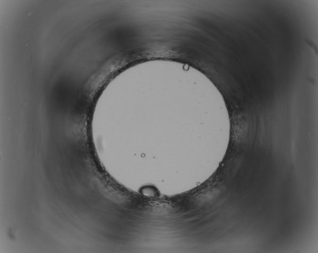 X0000103970207200810101316