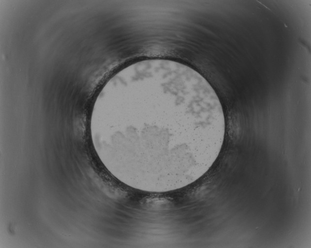 X0000103970208200810101316