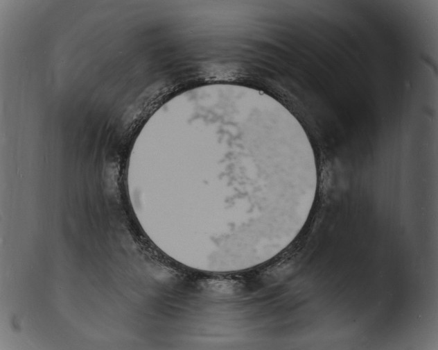 X0000103970209200810101316