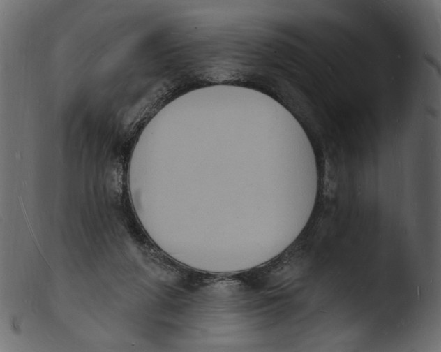 X0000103970210200810101316