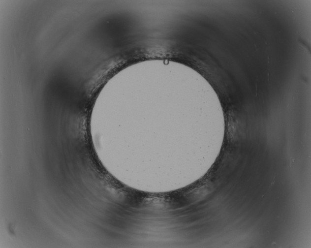 X0000103970211200810101316