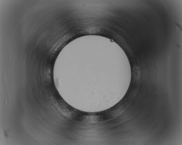 X0000103970212200810101316