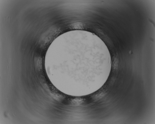 X0000103970213200810101316