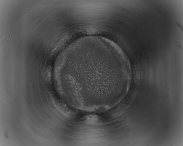 X0000103970214200810101316