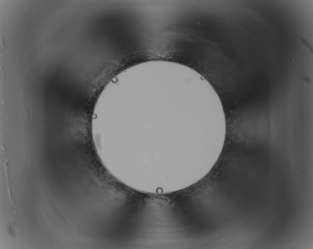 X0000103970215200810101316