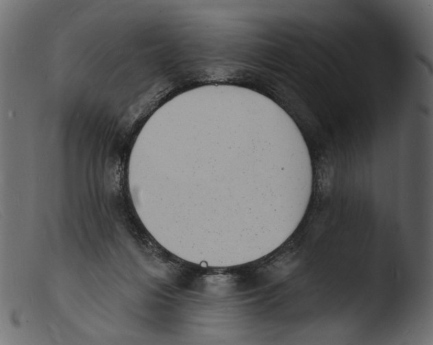 X0000103970216200810101316