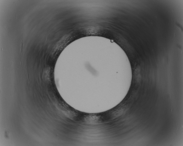 X0000103970217200810101316