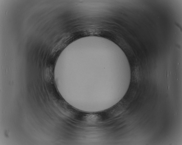 X0000103970218200810101316