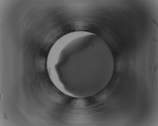 X0000103970219200810101316