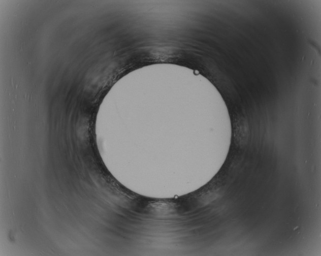 X0000103970221200810101316