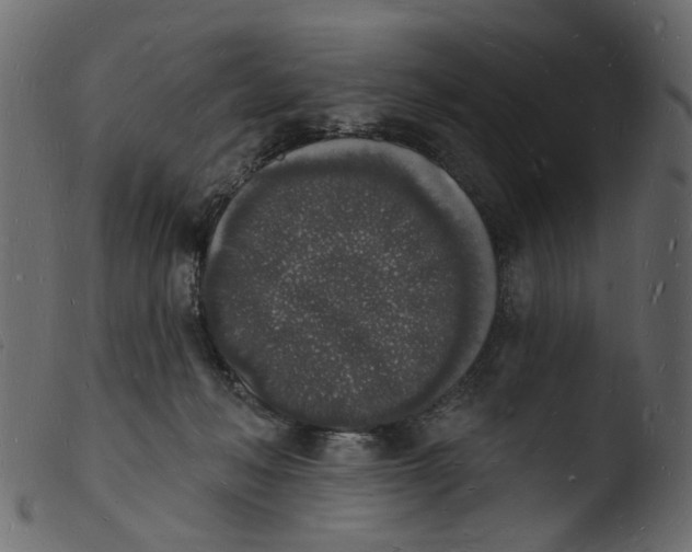 X0000103970222200810101316