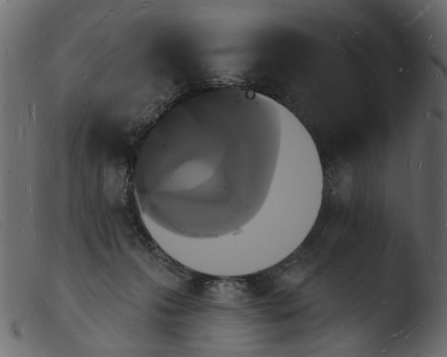 X0000103970223200810101316