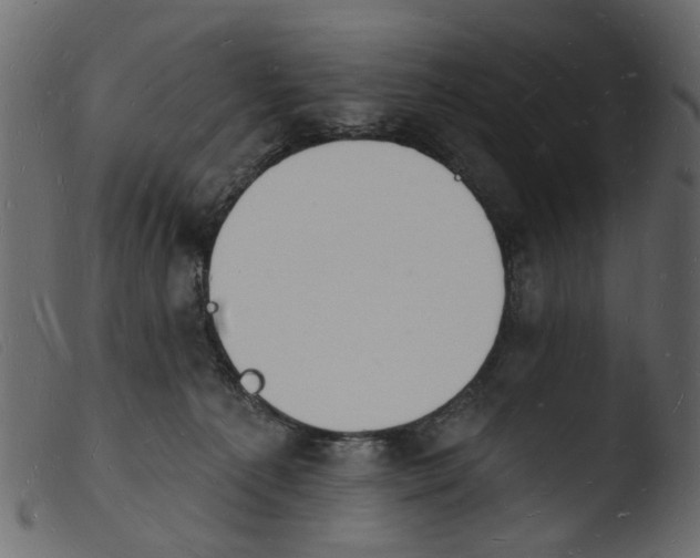 X0000103970225200810101316