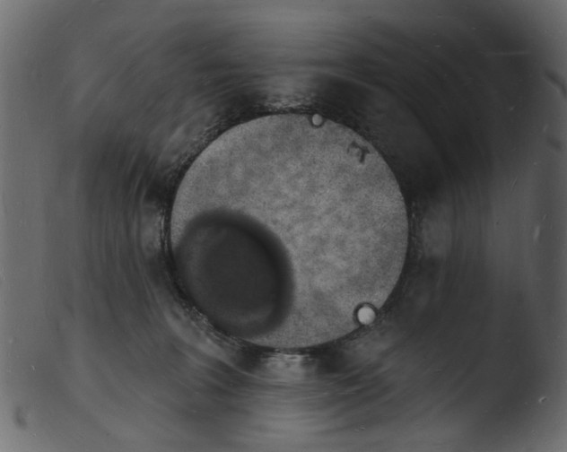 X0000103970227200810101316