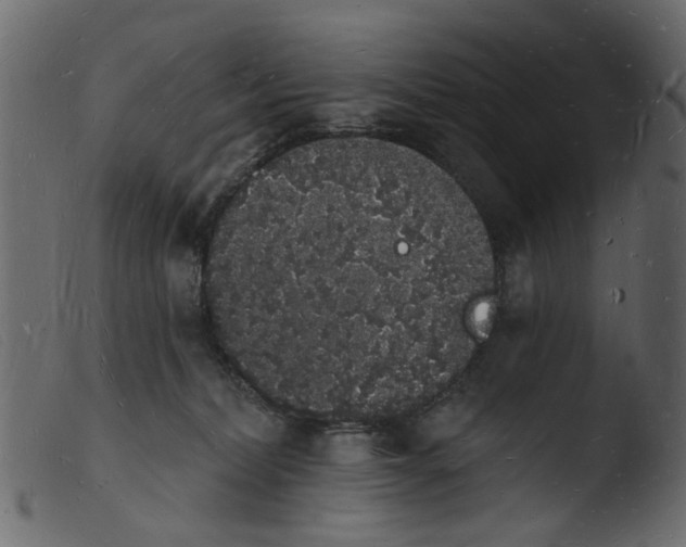 X0000103970228200810101316