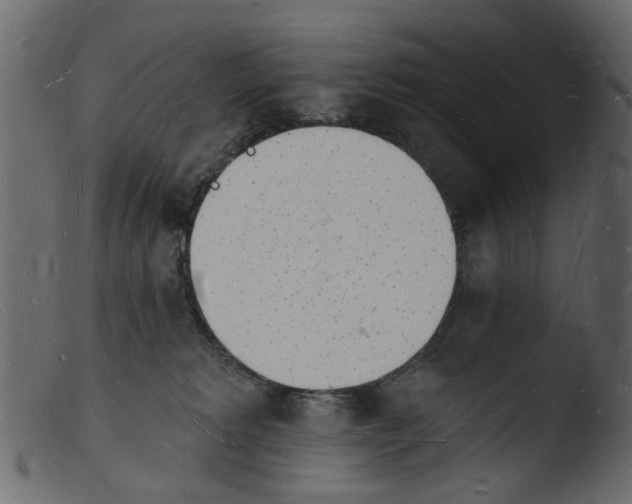 X0000103970229200810101316