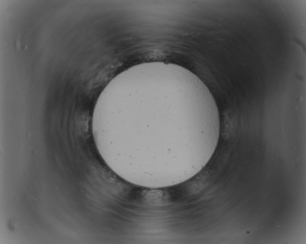 X0000103970230200810101316