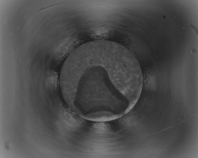 X0000103970231200810101316