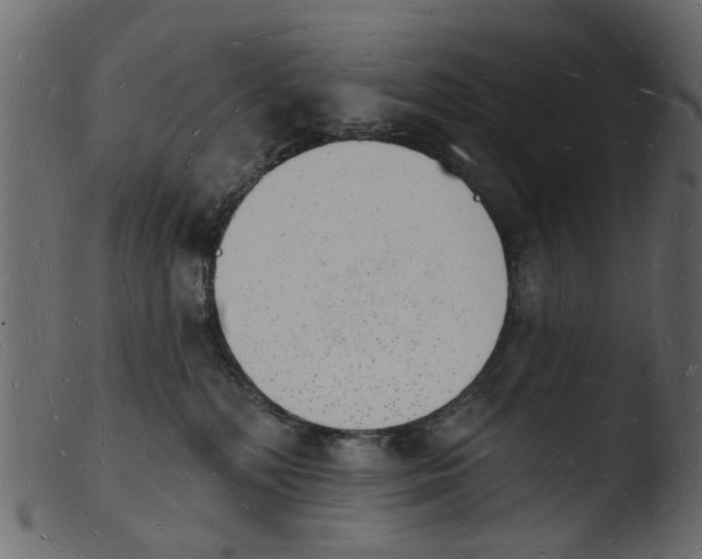 X0000103970232200810101316