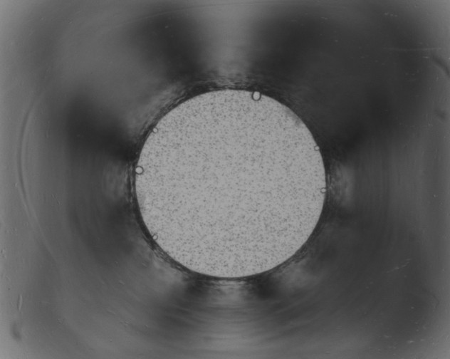 X0000103970233200810101316