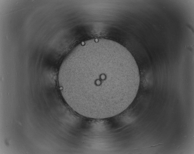 X0000103970235200810101316