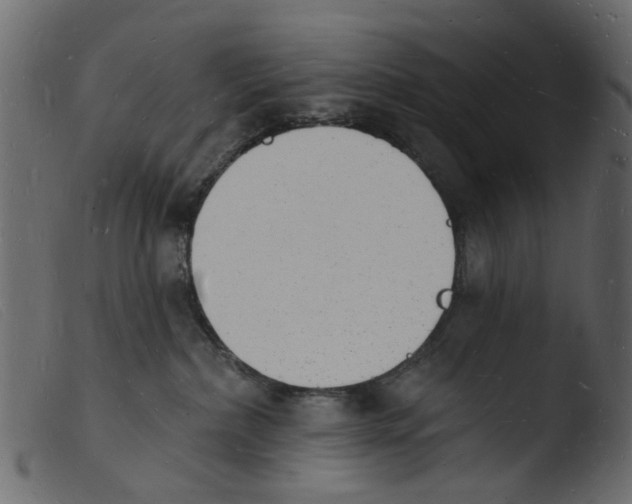 X0000103970236200810101316