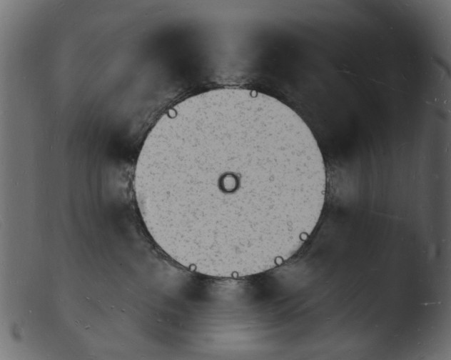 X0000103970237200810101316