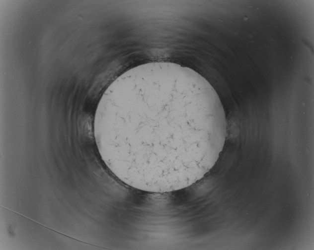 X0000103970238200810101316