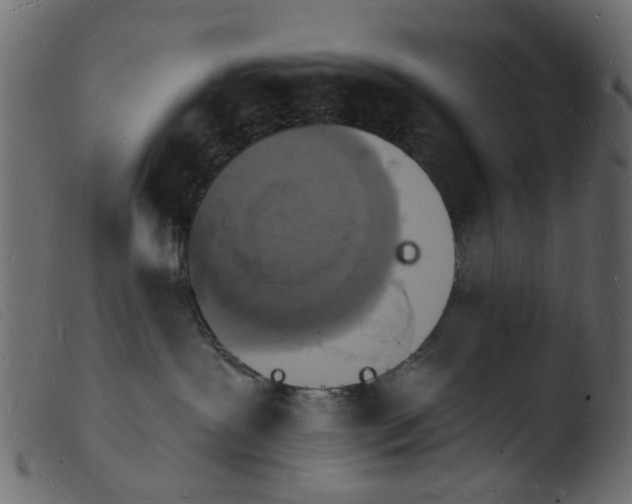 X0000103970239200810101315