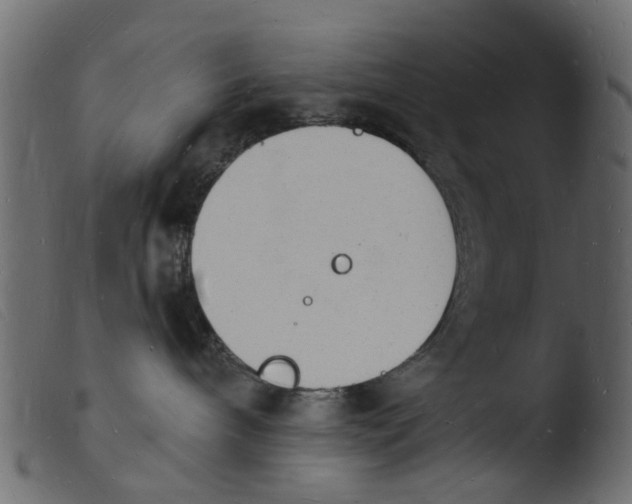 X0000103970240200810101315