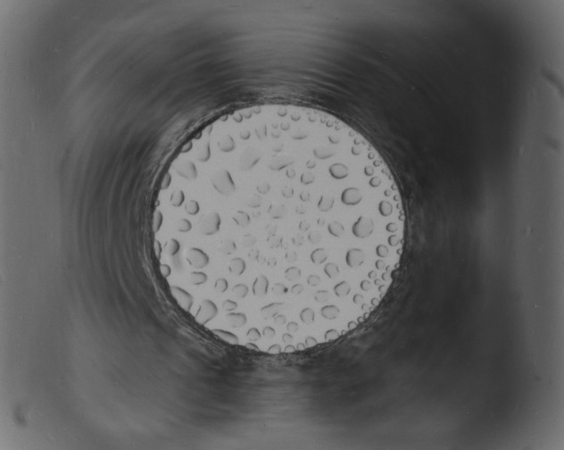 X0000103970241200810101315