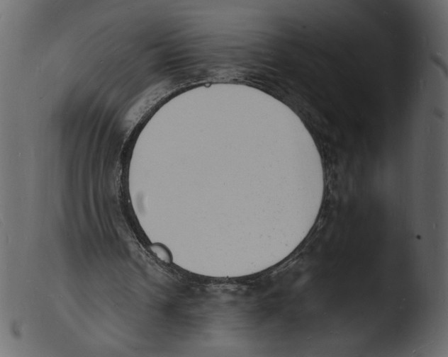 X0000103970242200810101315