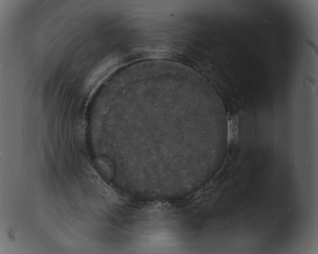 X0000103970243200810101315