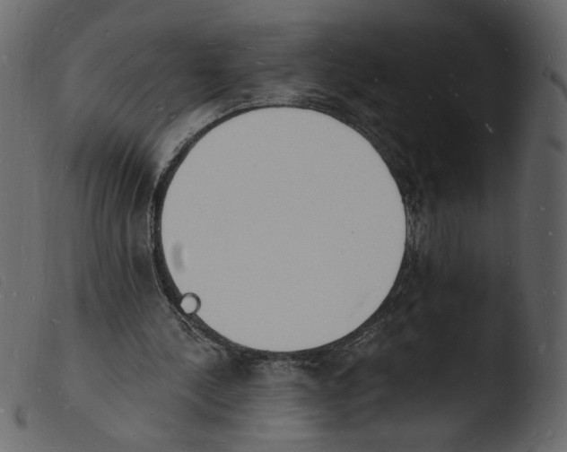 X0000103970244200810101315