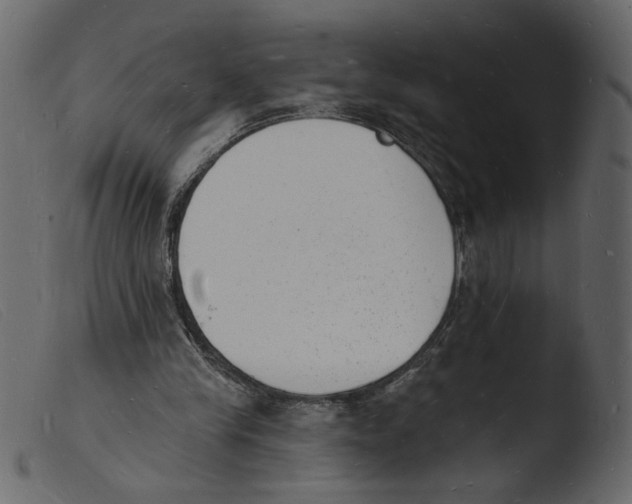 X0000103970245200810101315