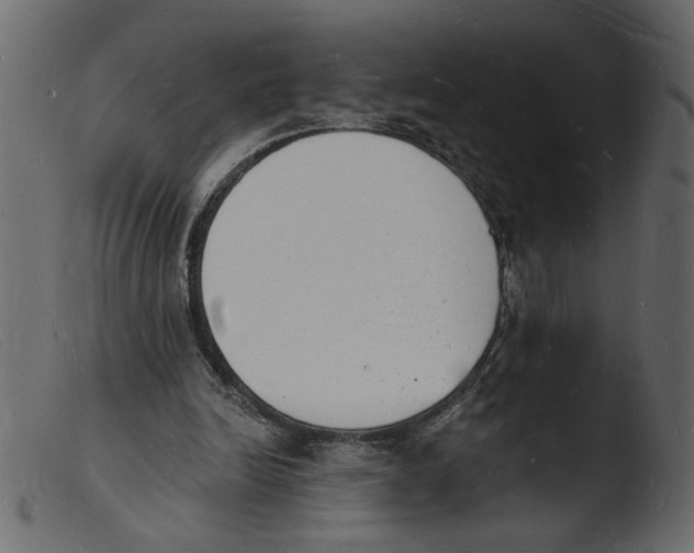 X0000103970246200810101315