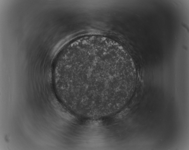 X0000103970247200810101315