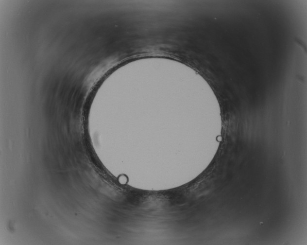 X0000103970248200810101315