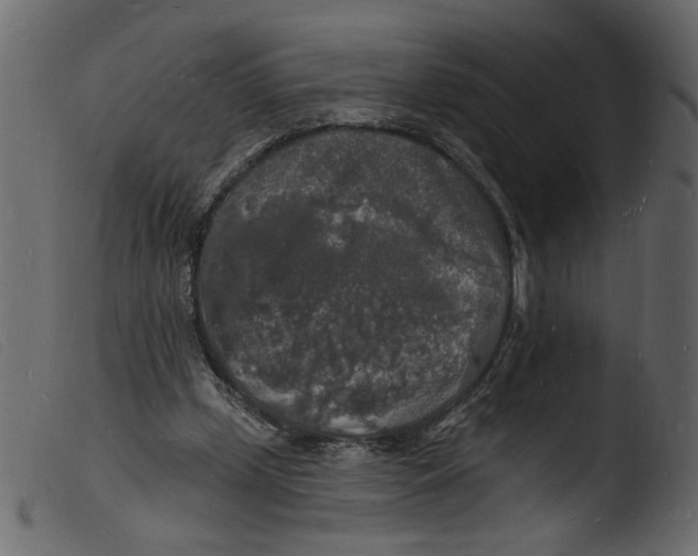 X0000103970249200810101315