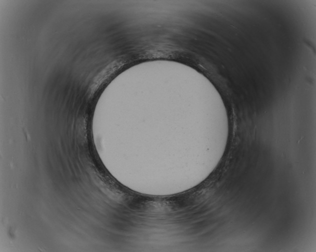 X0000103970250200810101315